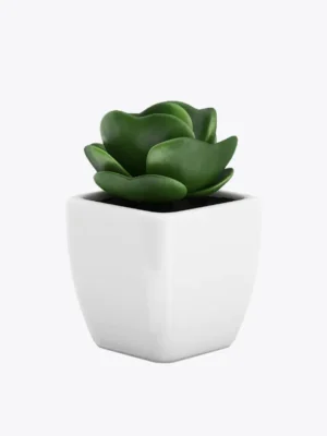 product-image-9_optimized test item